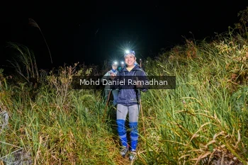 Runner Photo 82200