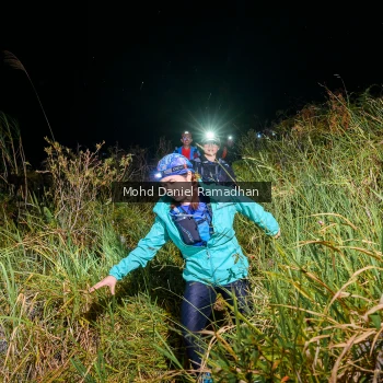 Runner Photo 82222
