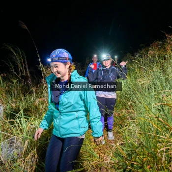 Runner Photo 82225