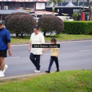Runner Photo 8223879