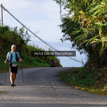 Runner Photo 82242