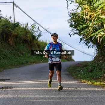 Runner Photo 82301
