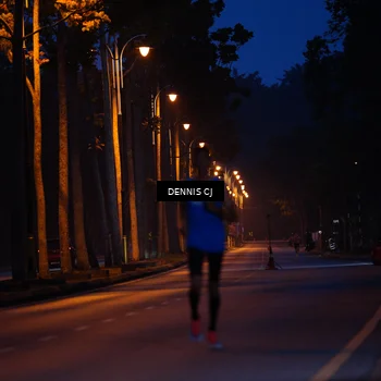 Runner Photo 8230973