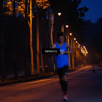 Runner Photo 8231177