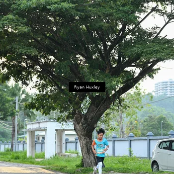 Runner Photo 8231863