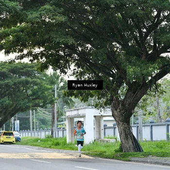 Runner Photo 8231865