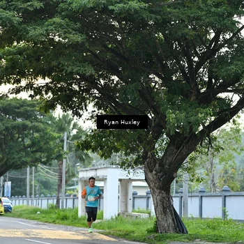 Runner Photo 8231886