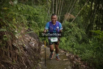 Runner Photo 82372