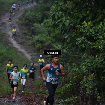Runner Photo 8240345