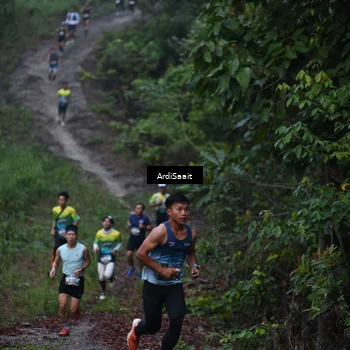 Runner Photo 8240364