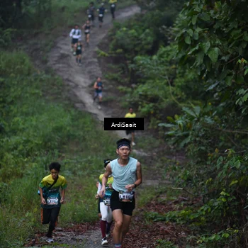 Runner Photo 8240789