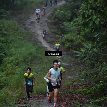 Runner Photo 8240796