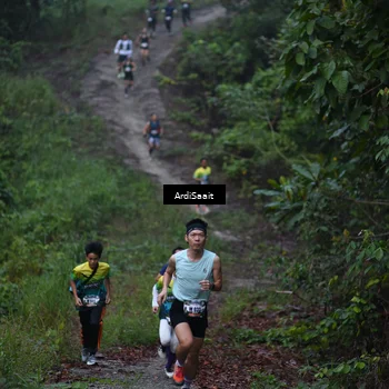 Runner Photo 8240852