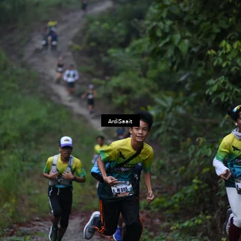 Runner Photo 8242029