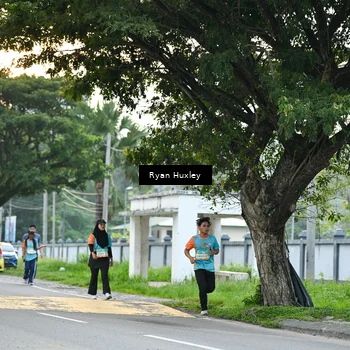 Runner Photo 8242134