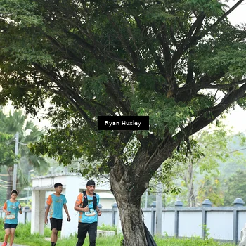 Runner Photo 8242250