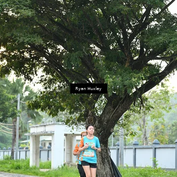 Runner Photo 8242282