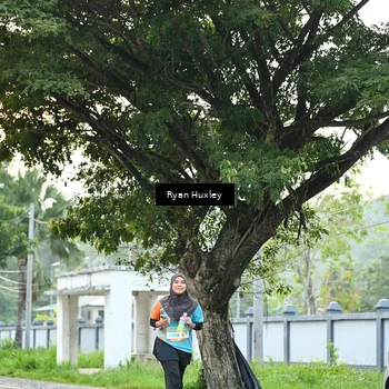 Runner Photo 8242296