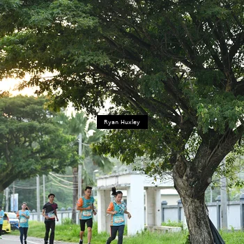 Runner Photo 8242311
