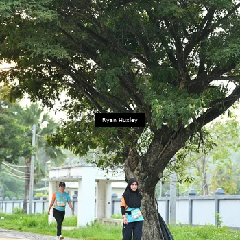 Runner Photo 8242313