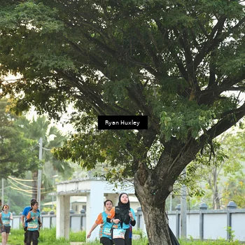 Runner Photo 8242636