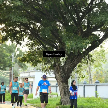 Runner Photo 8242654
