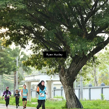 Runner Photo 8242686