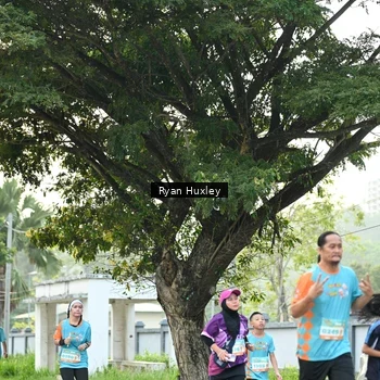 Runner Photo 8242692