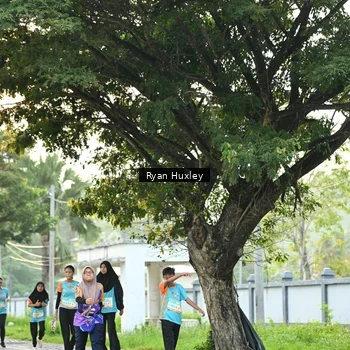 Runner Photo 8242696