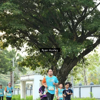 Runner Photo 8242698