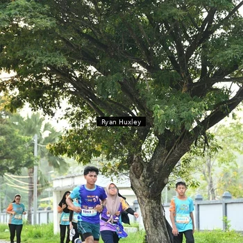 Runner Photo 8242702