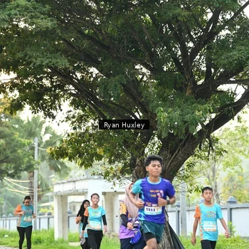 Runner Photo 8242707