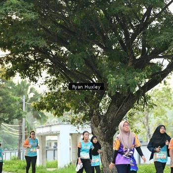 Runner Photo 8242713