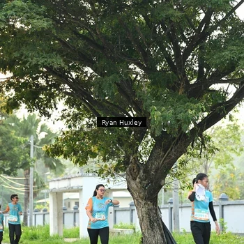 Runner Photo 8242715