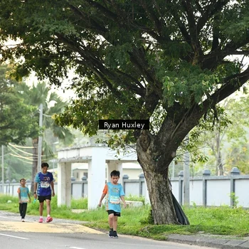 Runner Photo 8242741
