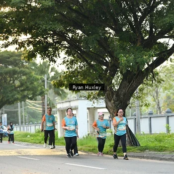 Runner Photo 8242794