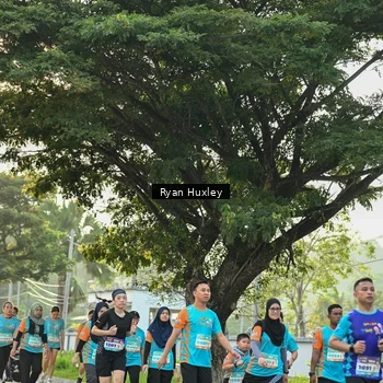 Runner Photo 8243125