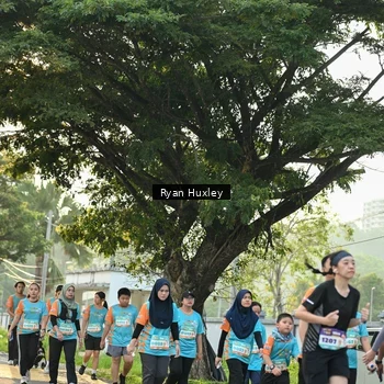 Runner Photo 8243134
