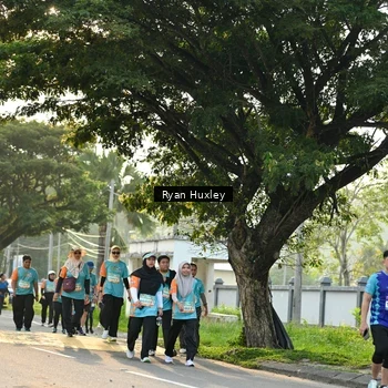 Runner Photo 8243172