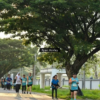 Runner Photo 8243180