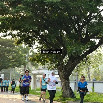 Runner Photo 8243182