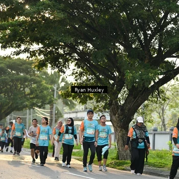 Runner Photo 8243213