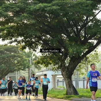 Runner Photo 8243231