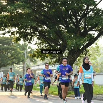 Runner Photo 8243254