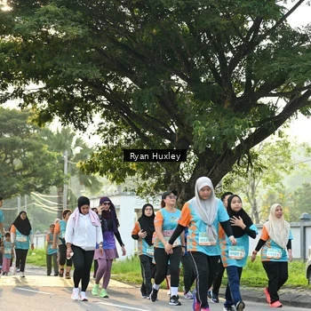 Runner Photo 8243288