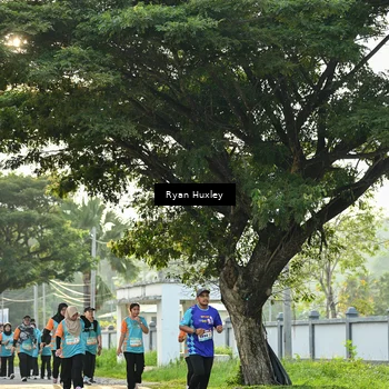 Runner Photo 8243549