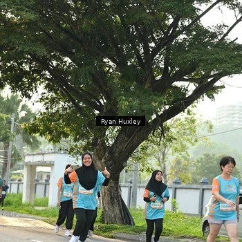 Runner Photo 8243829