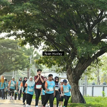 Runner Photo 8243839
