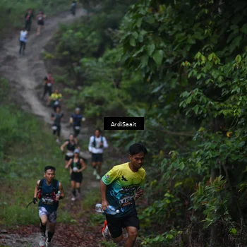 Runner Photo 8244619