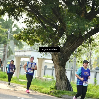 Runner Photo 8244701